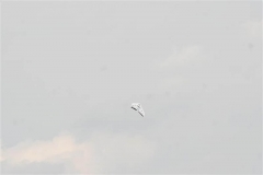 img_6855