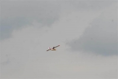 img_6870